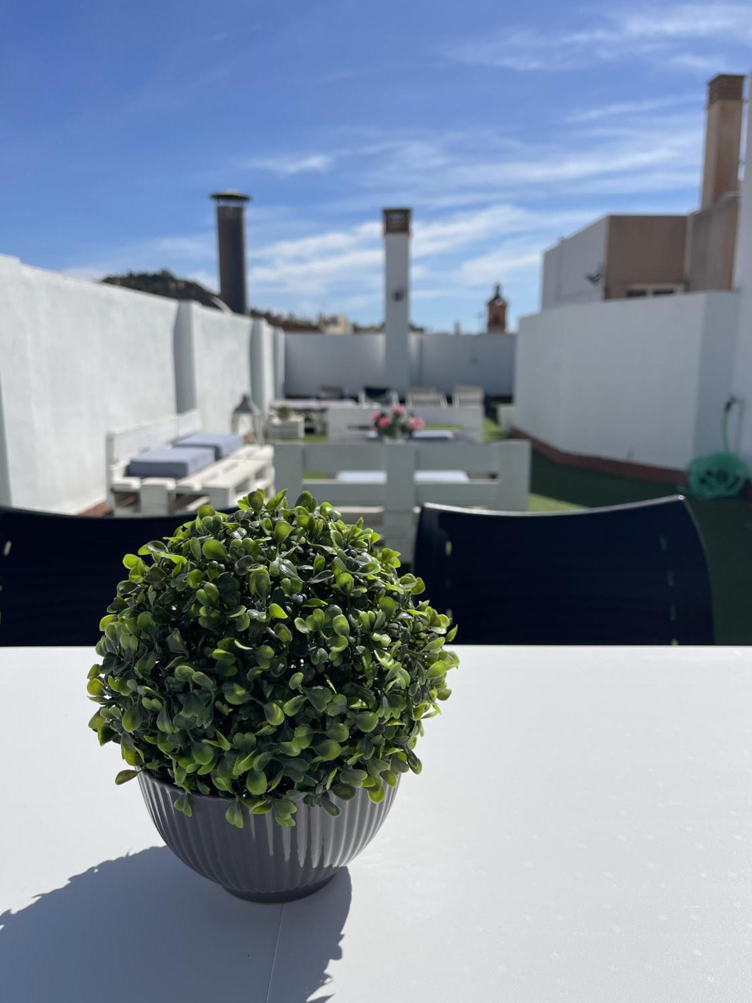San Rafael Terrace City Centre Малага Екстериор снимка